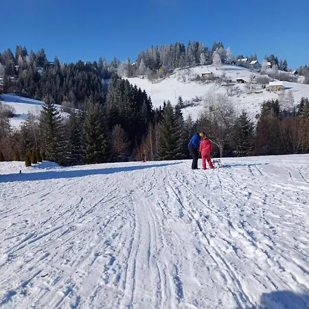 Zlatar Eyes Lejlighed *
